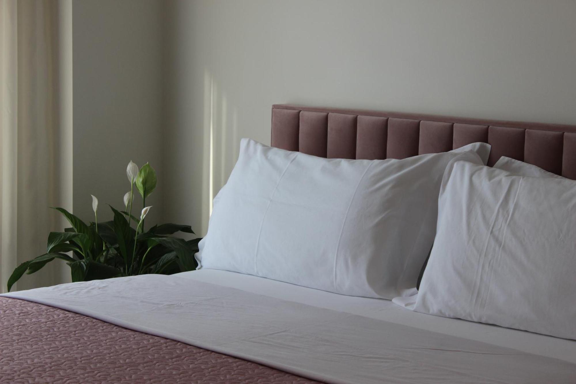 Delight Apartment Tiranë Eksteriør bilde